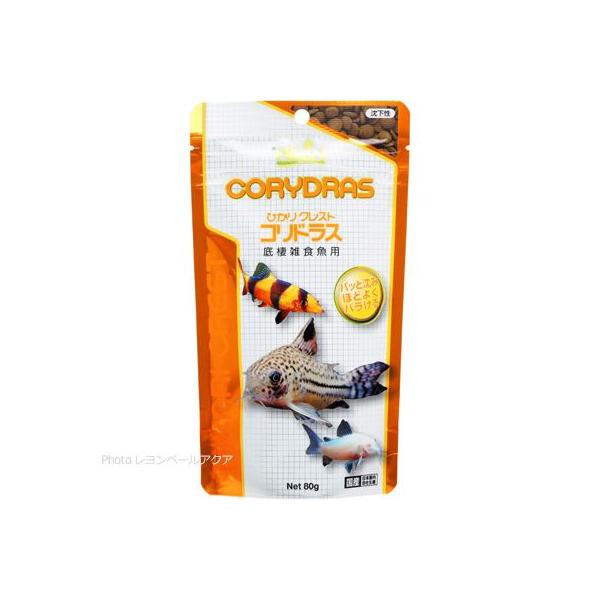 yS360~Ήz L[ ЂNXg RhX 80g  ܂ƂߗL