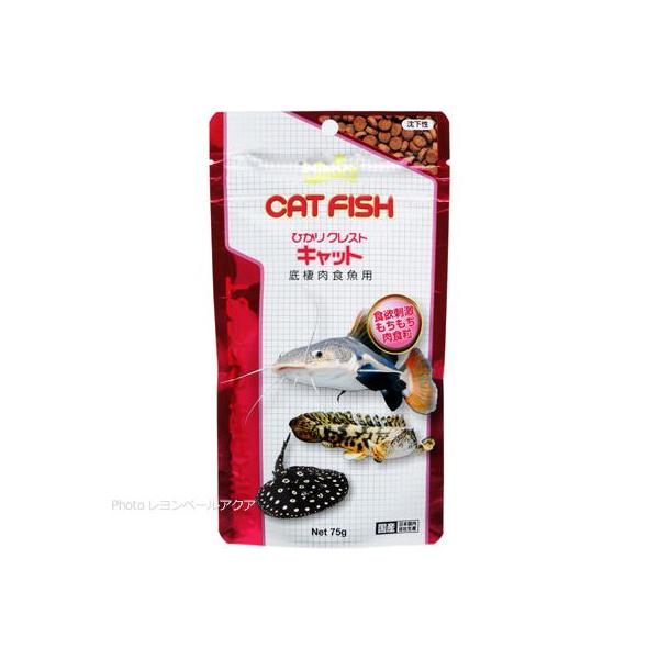 ySz L[ ЂNXg Lbg 75g