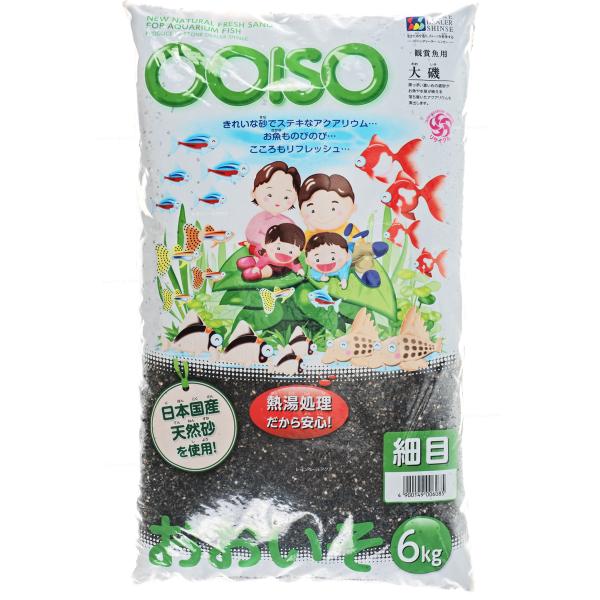 SDVZ[ 鍻  ז6kg (VbgVpbP[W)