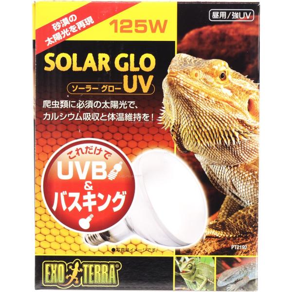 ySz GEX GL]e p/UV \[[O[UV125W PT2192