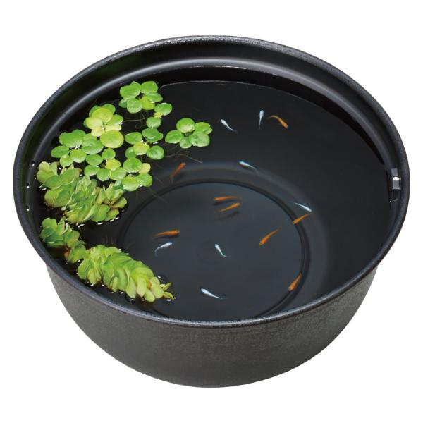 他サイト： 【全国送料無料】 GEX メダカ元気 メダカのための飼育鉢 黒420の商品画像