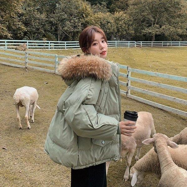 R[g ȃR[g ȃ_ER[g fB[XWPbg fB[X ~ fB[X g  Airoom