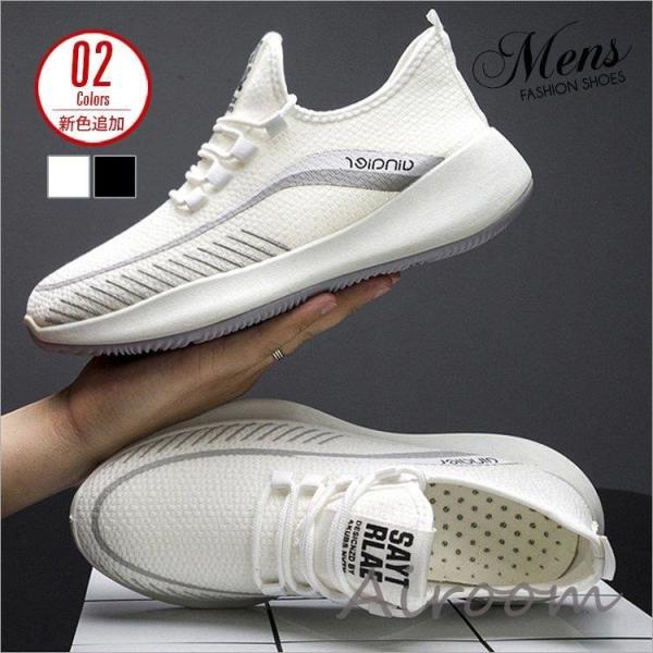 Xj[J[ V[Y ^C Y RtH[gV[Y jOV[Y X|[cV[Y t C JWAV[Y ʋC 