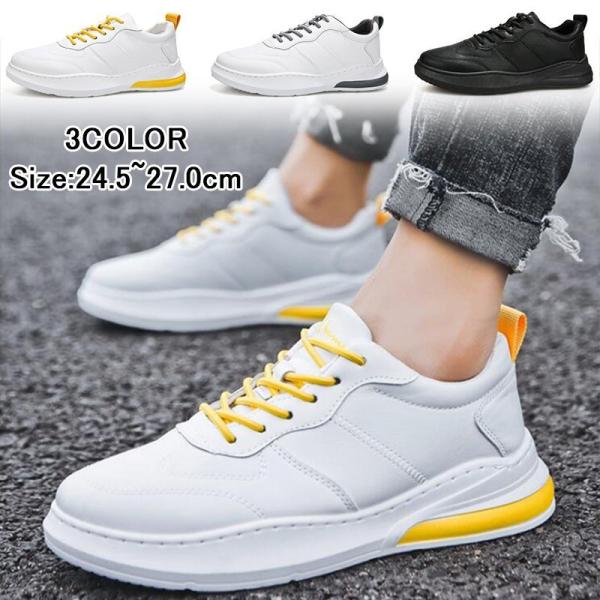 HV Xj[J[ Y JWA V[Y ^C Xj[J[  Ȃ X|[c C ʋ ʊw Xj[J[