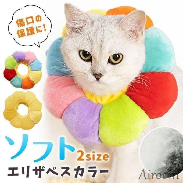 GUxXJ[ L pEFA ybgpi lR@ց@GUxX Jt  ӂӂ lC V