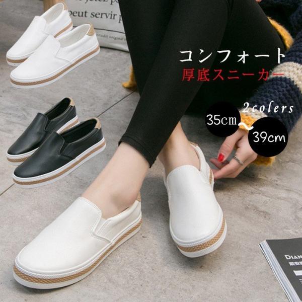 Xj[J[ fC[X Xb|  PU ؂ RtH[g S C  V[Y JWA r ʋ ʊw  t H 30 40