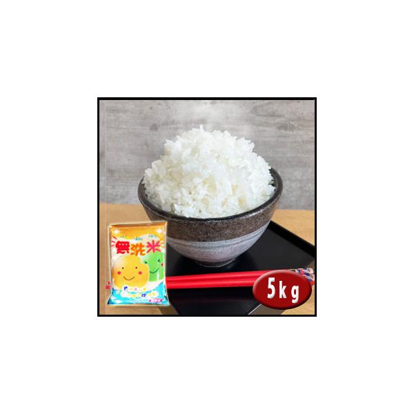 5年産  無洗米 5kg 埼玉県産 送料無料　