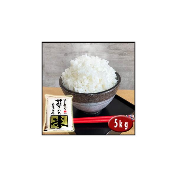 5年産　埼玉でとれたお米5kg  白米 埼玉県産 送料無料