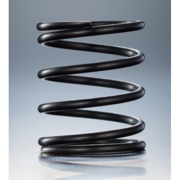 AXON ワールドスペックスプリング HLS C2.55 ST-HL-021 n5ksbvb WORLD SPEC SPRING HLS C2.55 【ST-HL-021】 | AXON | ST-HL-021