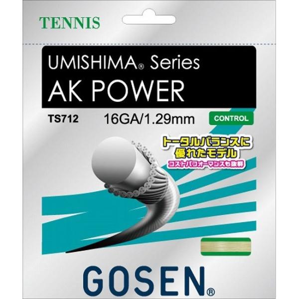 GOSEN �S�[�Z�� �X�[�p�[�e�b�NAK�p���[ 16 TS712W