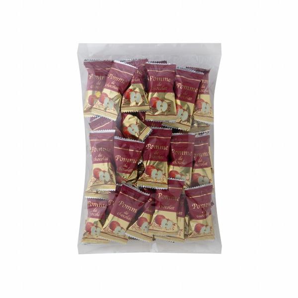 お中元 りんごチョコレート 540g りんご リンゴ 林檎 チョコレート ギフト 産直  熨斗 贈り物 のし対応