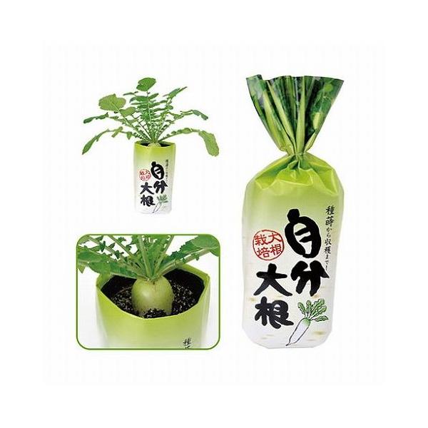 [Release date: December 1, 2022]【商品説明】見た目も楽しい、袋で育てよう。ユニークな袋のパッケージを黒ポットのカバーとして使用し、見た目も楽しく育てます。【商品詳細】商品サイズ(単位mm):パッケージ(袋):...