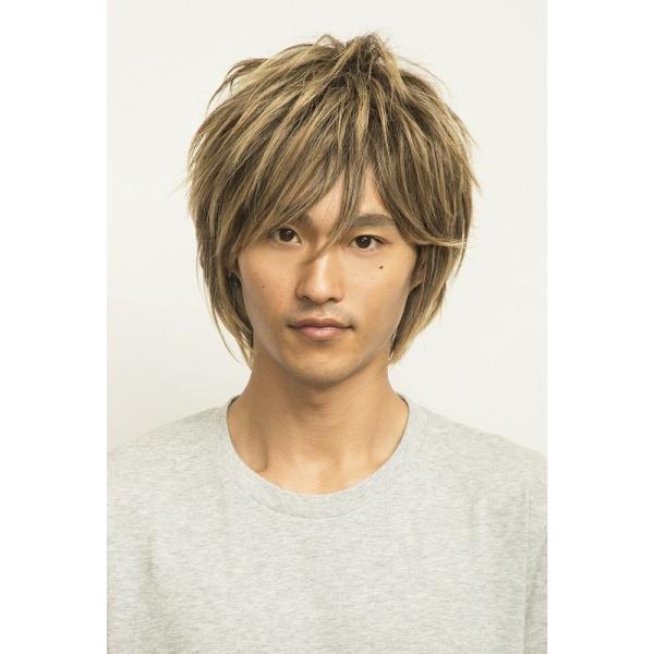 Wiggy Richメンズ ミディアムウルフ ミックスゴールド コスプレ パーティーグッズ ネタ 代引不可 Buyee Servicio De Proxy Japones Buyee Compra En Japon