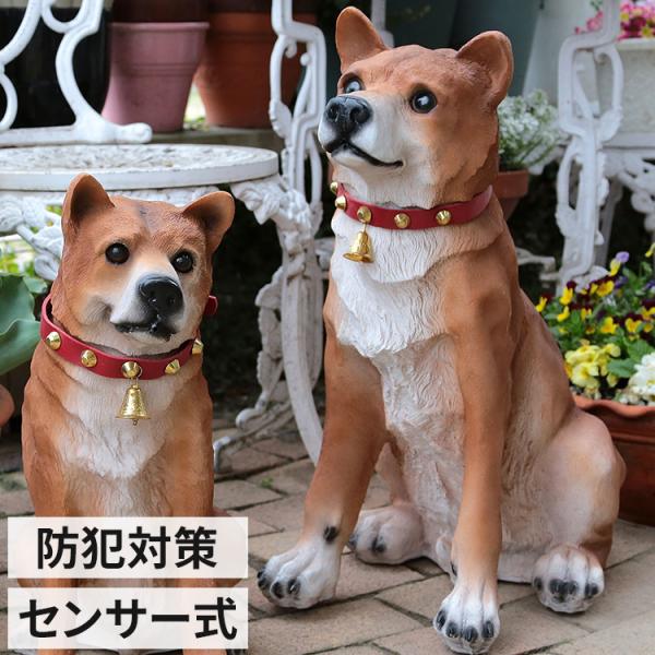 センサー式 お出迎えワンワン ビックリキ 単三電池 明暗センサー 感知