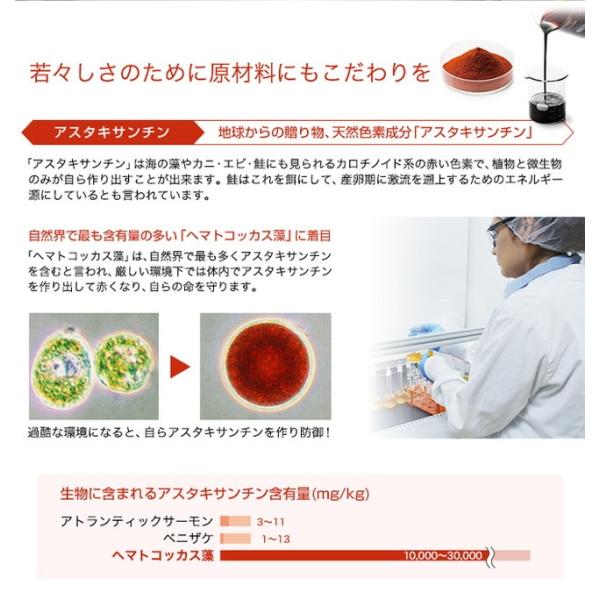 ファイテン Phiten サプリメントシリーズ アスタキサンチン Coq10 Gs Buyee Buyee Japanese Proxy Service Buy From Japan Bot Online