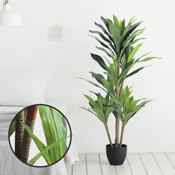 [Ahz[ RyN^ lH ϗtA  ؍ ؍CeA i` k  s