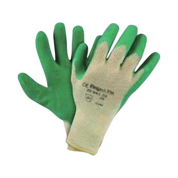 nlEF fbNXObv TCY10 XL 2094138IP10 s