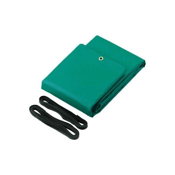 TRUSCO gbNV[g 1tp 2100mmX3.1m  TS1TA s