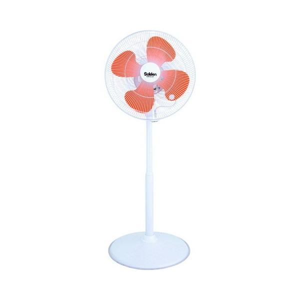 XCf H 1{X^h^Cv t~St@ nl45cm 100V SF45VF1VP2 s