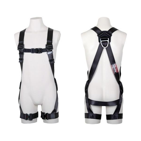 �c������ ���e�n�[�l�X L�T�C�Y TH504OTDGLBX ����s��