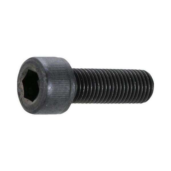 TRUSCO �g���X�R �Z�p���t�{���g �ז� �X�`�[�� SCM435 ������ M12×40 P1.25 8�{�� B1501240P1.25 ����s��