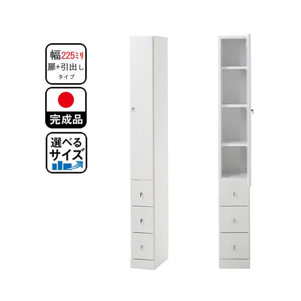 2.5cmPʂŕIׂ Ԏ[ Ԏ[ /o^Cv 22.5 s40 180 Ƌ Y i Lb`[ s