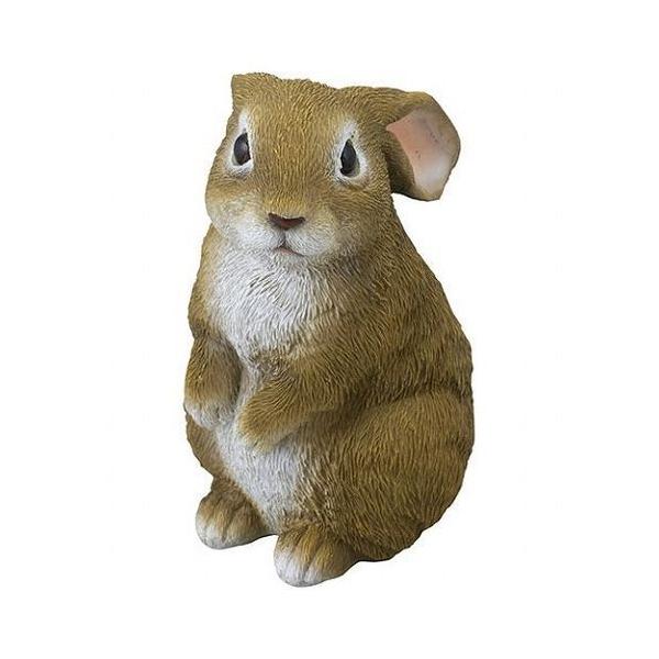 Z[uEC_Xg[ Z[uC_Xg[ ~j C3038094 s