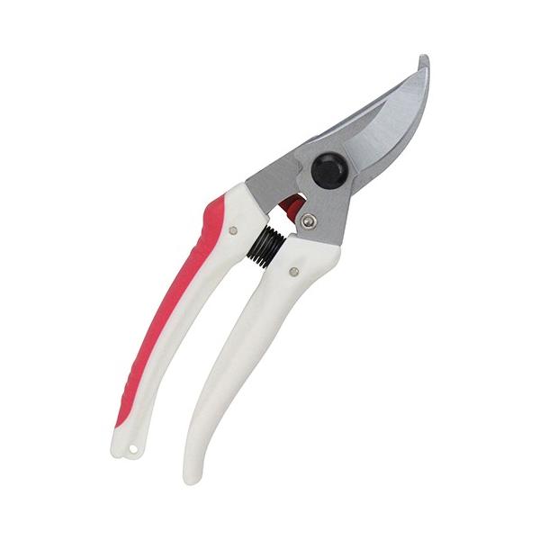 K[f TbN SGP-43 K[fjO |pi  }؂ ͂