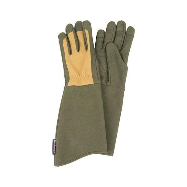 ZteB[3 gQhɂLG-M STS-M