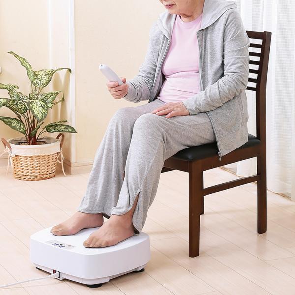 ダイエット バランスウェーブ フィットネス alincoの人気商品 ダイエット バランスウェーブ フィットネス alincoの人気商品