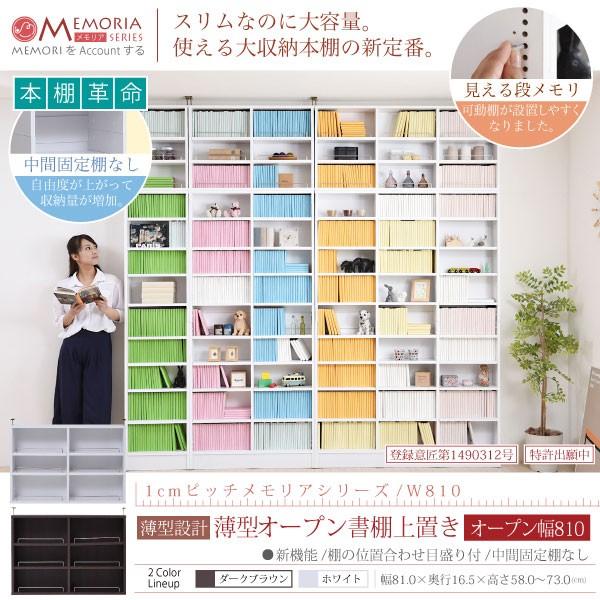 {I bN VFt 1cmsb` ʎ[ MEMORIA I1cmsb`ŉ ^I[vu81 FRM-0104 s