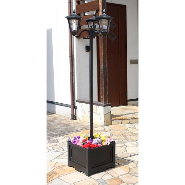 v^[t\[[Cg 3 \[[Cg v^[t O O X s