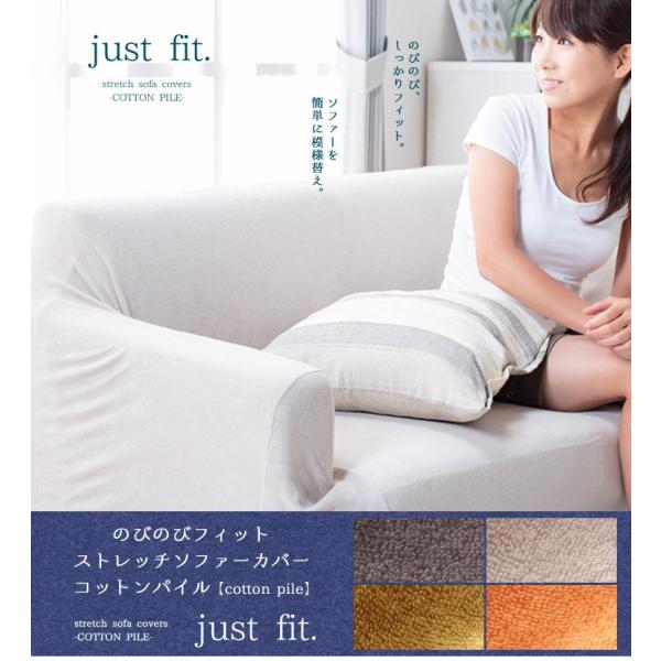 ̂т̂ tBbg^CvEXgb` \t@[Jo[ RbgpC 3l|p s