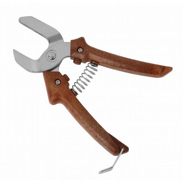 aؐ쏊 aؐ쏊 Ȃ񊄂