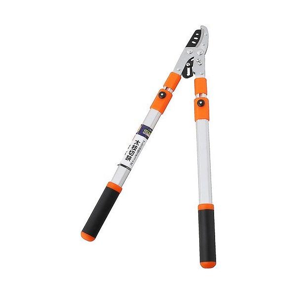 A[NhTJg CLUB J A~Lk`Fbg }