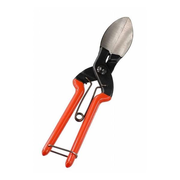 SUWADA ���ڂ�����n�p�� ���ڂ���� 725604