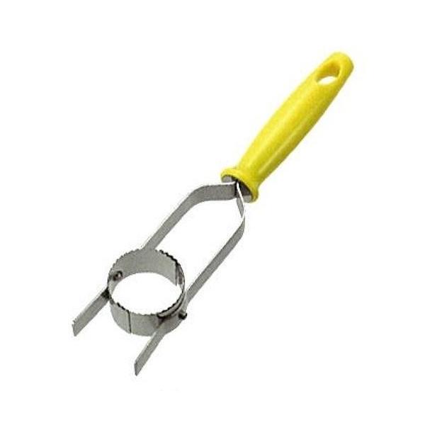 H txW Ƃ낱Jb^[ FTK-01