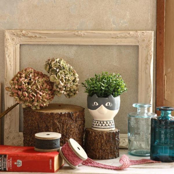 植木鉢 動物 プランターの人気商品 通販 価格比較 価格 Com