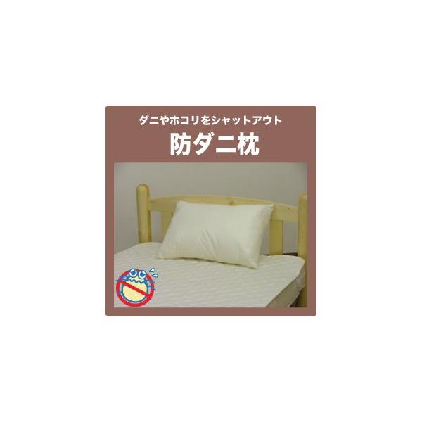  IWixh_j ~fBATCY 43×63cm