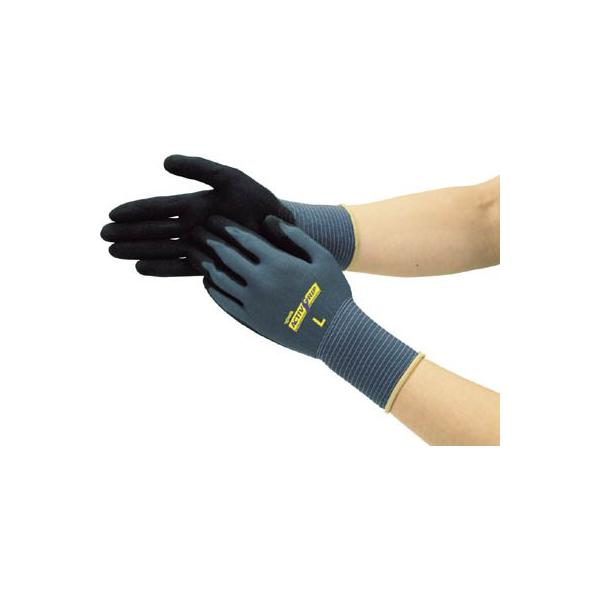 g ANeBuObv k 581-L Ǝ܁Eׂ~ߔw