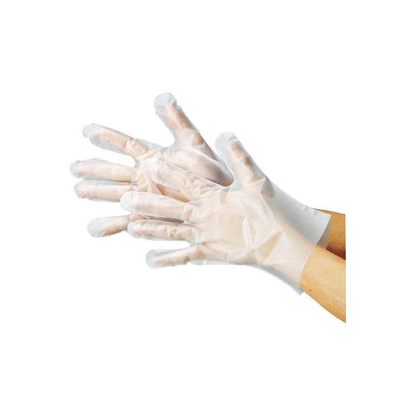 쐼 |G` OG{X100 kTCY 2012-L Ǝ܁EĝĎ