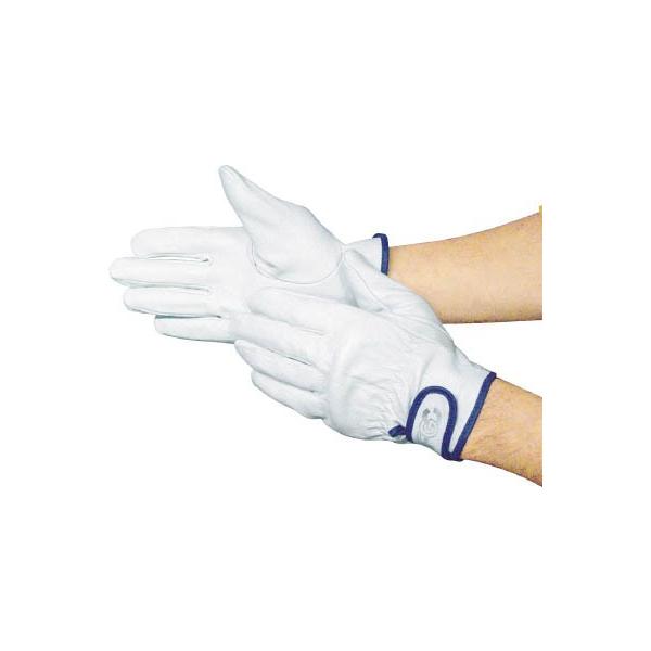 xmO[u e|809l 5845 Ǝ܁Ev