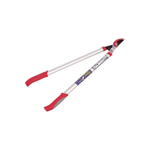 fr V^A~ GbWt} 2043 ΉpiE|pnT~