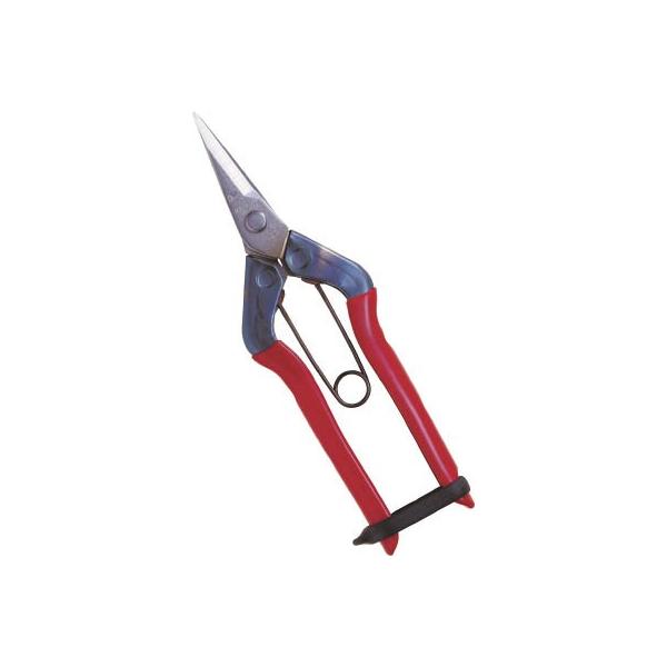 `J}T XeXE T-500S ΉpiE|pnT~