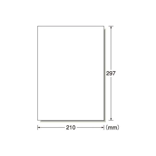 `| OpTCx [U[v^ ctBEzCg 31031 SpiEWESW
