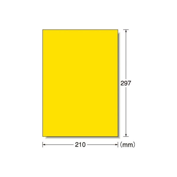 `| OpTCx [U[v^ tBEF 31038 SpiEWESW