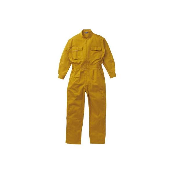 �`�t�s�n�|�a�h �X���[�h���S�� �c�i�M�� 3�k�T�C�Y �S�[���h 20000-GO-3L �ی��E��ƕ�