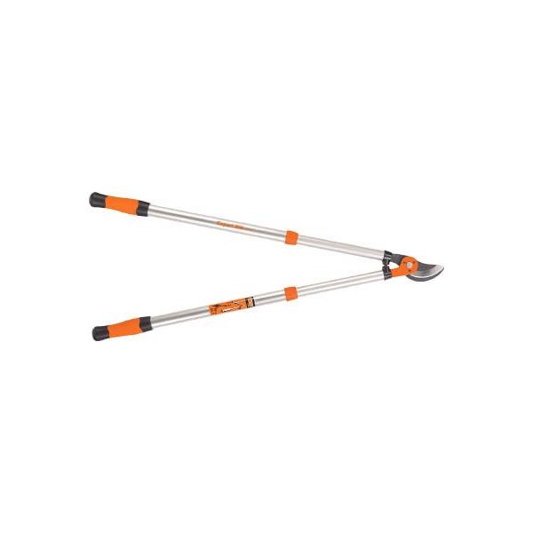 o[R Lk^΂ PG-19-F ΉpiE|pnT~