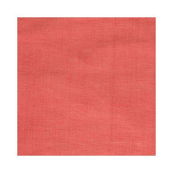 MULTI CLOTH SOLID COLOR E JELLY }`NX \bhJ[ S359-36E DULTON _g  킢 s