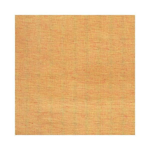 MULTI CLOTH SOLID COLOR F SUNBEAM �}���`�N���X �\���b�h�J���[ S359-36F DULTON �_���g�� ������� ���킢�� ����s��